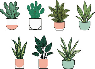 set of indoor plants