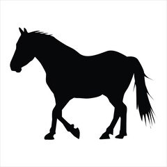 silhouette of a horse