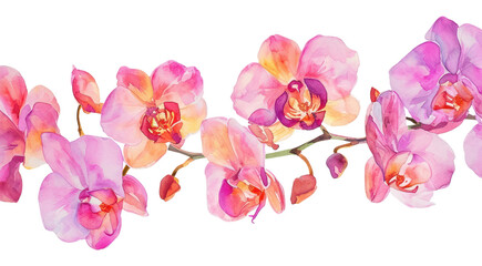 PNG  Orchid blossom flower nature.