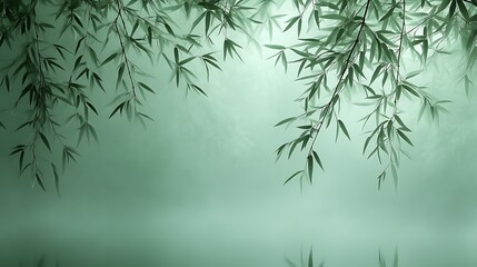 Serene Bamboo Branches Over Misty Water