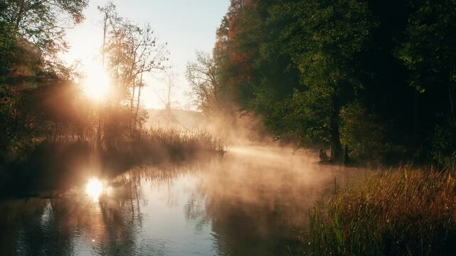  Beautiful sunrise on a foggy autumn morning over the small creek.
