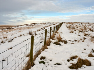 Snow-covered landscape with a winding fence under a blue sky.