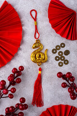 2025 Chinese new year of snake concept