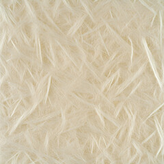 Obraz premium Creamy Abstract Background Texture