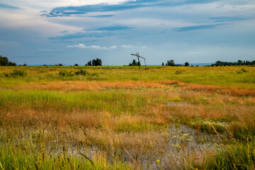 Obraz premium Graslandschaft