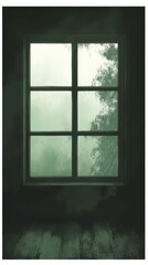 The Clouded Window, Schizoid Personality Disorder