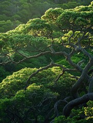 Breathtaking views of Hawaii's beautiful scenery, fantastic wild nature