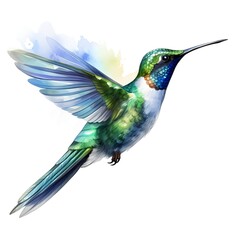 Fototapeta premium Colibri clipart. Watercolor illustration. Ai-generated artistic illustration. Detailed illustration