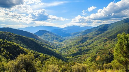 Fototapeta premium Breathtaking views of the beautiful summer valleys of the Tuscany region