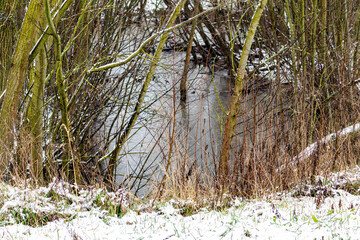 A frozen pond surrounded by trees