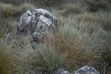 A large gray white stone in dry grass along the road in Lovcen National Park in November. High...