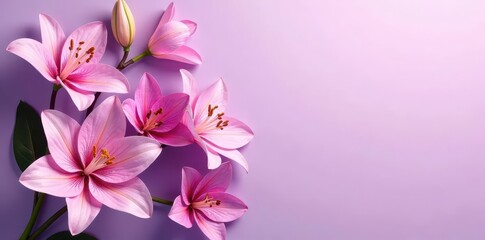 Fototapeta premium Lilac background with a mix of lilies and orchids, exotic, flowers, arrangement