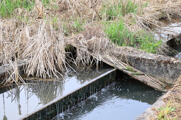 Landschaftspark im Frühling im Zentrum von Neumarkt in der Oberpfalz	