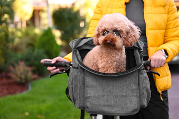 Woman with bicycle and cute Toy Poodle dog in sunglasses outdoors, closeup
