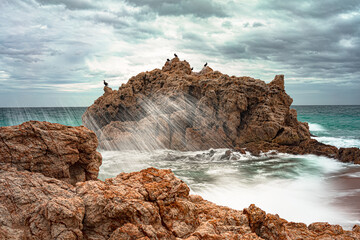 waves crashing against a rock, large rock in the sea with cormorants perched on it