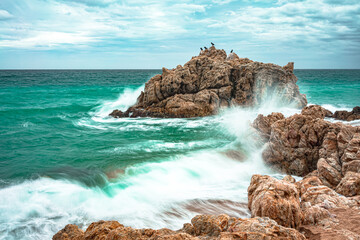waves crashing against a rock, large rock in the sea with cormorants perched on it