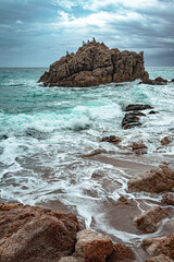 waves crashing against a rock, large rock in the sea with cormorants perched on it
