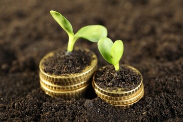 Stacks of coins with green plants on soil, closeup. Money growth concept