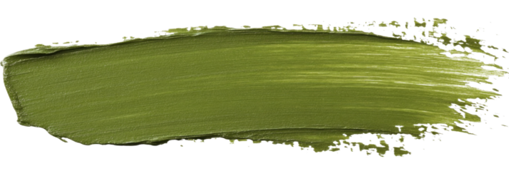 Elegant olive green paint brush stroke on transparent background in abstract style