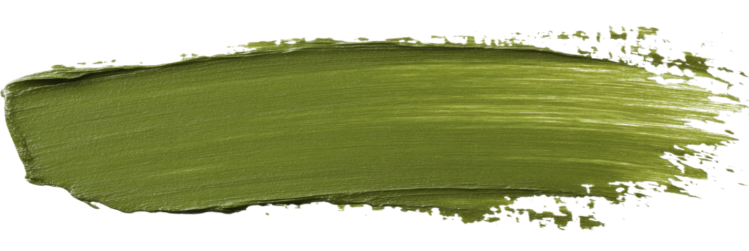 Elegant olive green paint brush stroke on transparent background in abstract style