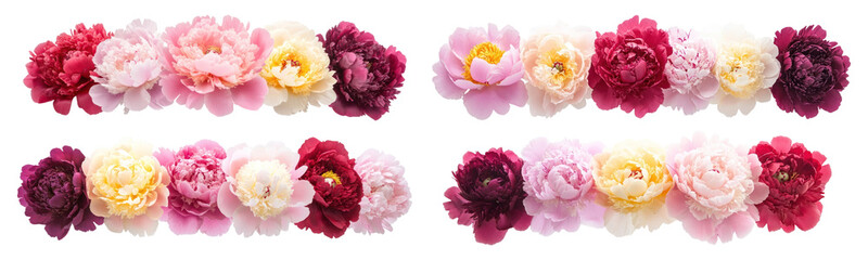 PNG Vibrant peony floral borders design set, isolated on transparent background