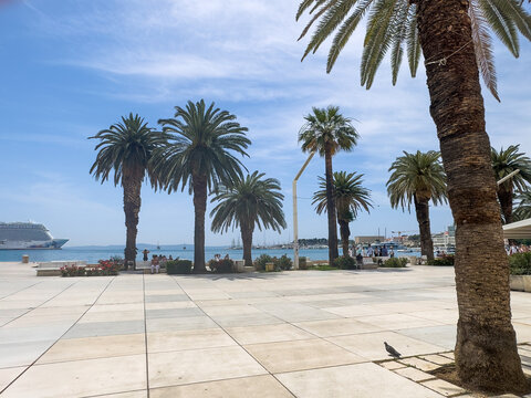Split, Croatia - July 1, 2024: Coastal boardwalk. View from the British consulate on Obala Hrvatskog narodnog preporoda street. Palm trees in front of the Adriatic Sea and port. Cruise ship on horizon