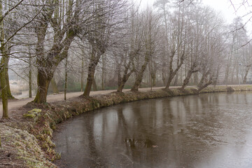 Frostiger wnter im Münsterland