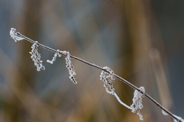 Winterzeit im M&uuml;nsterland