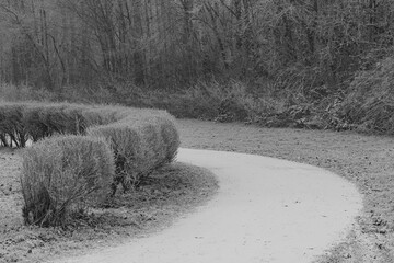 Frostiger wnter im Münsterland