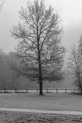 Frostiger wnter im Münsterland