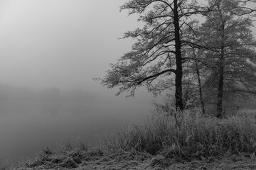 Winterzeit im Münsterland