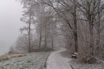 Frost und Nebel am See
