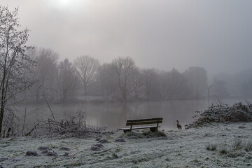Frost und Nebel am See