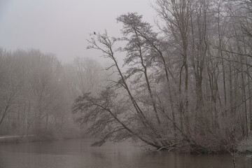 Frost und Nebel am See