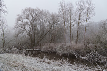 Frost und Nebel am See