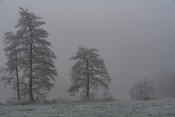 Frost und Nebel am See