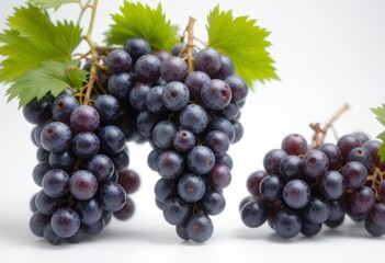 Fototapeta premium Fresh grape bunches with juicy berries of rich color, located on a clean white background