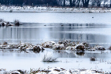 A snowy landscape with a body of water and a few trees
