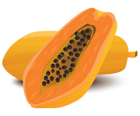 isolated papaya on white background vector design