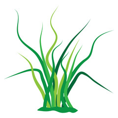 isolated grass on white background vector design