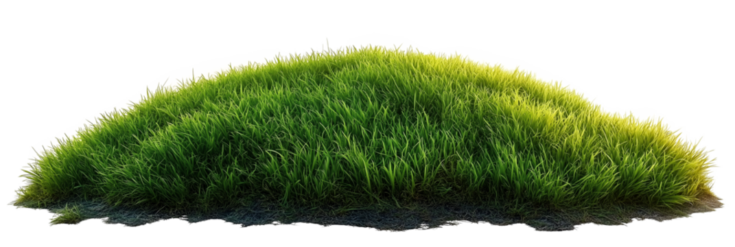 Green grass clump isolated on transparent PNG background