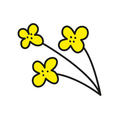 Doodle yellow rapeseed canola flowers isolated on white background.
