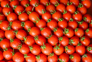 ripe juicy red tomatoes with leaves