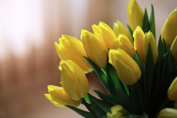 Obraz premium Tulip flowers close-up in a vase. Mothers Day.