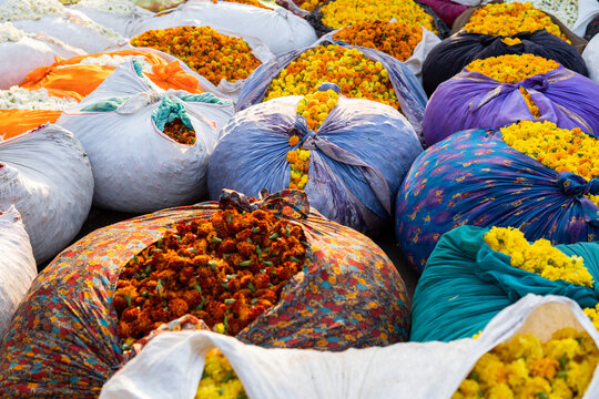 Marigolds and roses flowerheads packed in sacks on Jaipur open market in Rajasthan, India