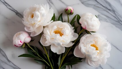 Obraz premium Elegant White Peonies: A Serene Floral Still Life