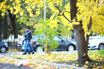 city park without people on an autumn day, bright rays of the sun shine through the crowns of maple...