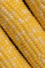 peeled corn cob with yellow and white seeds of different sizes and shades