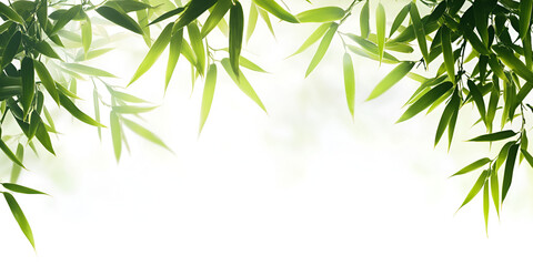 Fototapeta premium Bamboo Tranquility: Verdant bamboo leaves dance gracefully against a soft, ethereal backdrop, creating a serene and inviting space. Their vibrant green hues evoke a sense of tranquility.