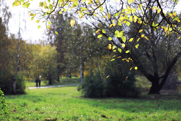 Beautiful autumn park. Russian North. Autumn trees and leaves. Autumn Landscape.Park in Autumn. Forest in Autumn.
